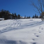 winter-18
